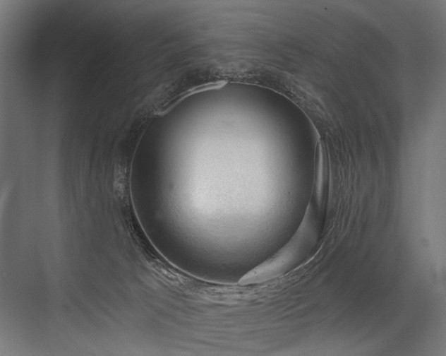 X0000076380033200610061136