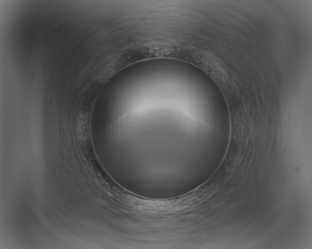 X0000076380034200610061136