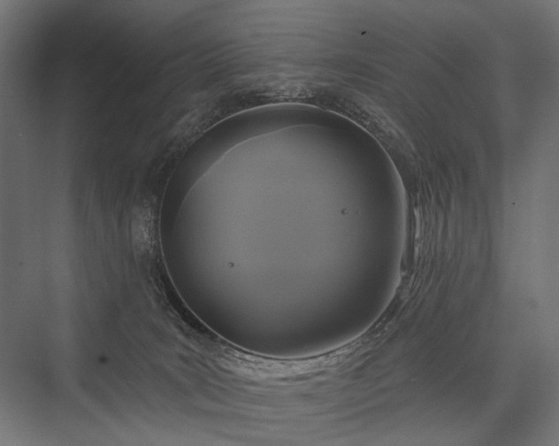 X0000076380035200610061136