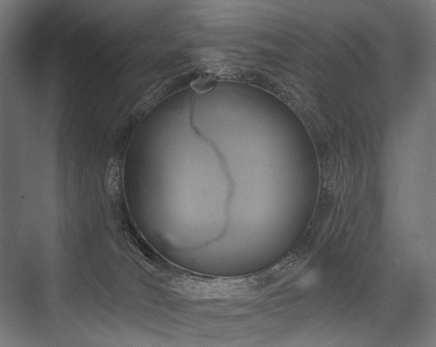 X0000076380036200610061136