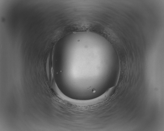 X0000076380037200610061136