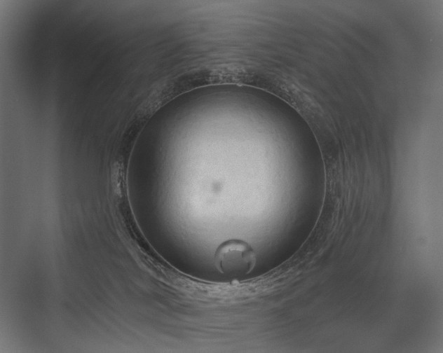 X0000076380038200610061136