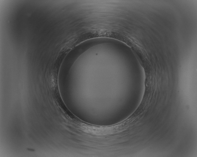 X0000076380039200610061136