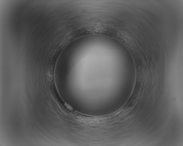 X0000076380040200610061136