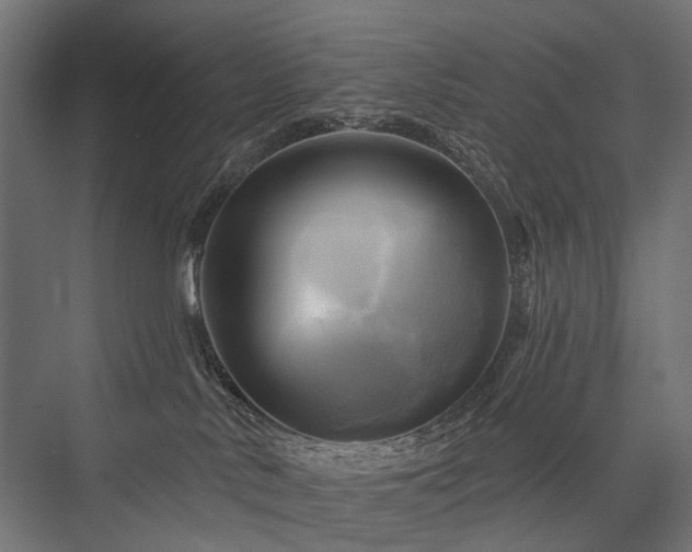 X0000076380042200610061136