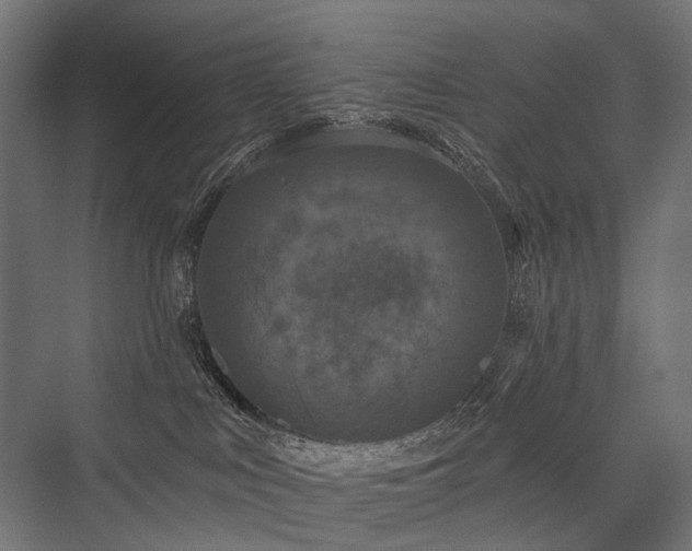 X0000076380043200610061136