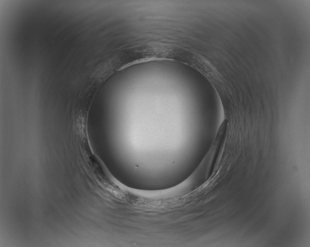 X0000076380045200610061136