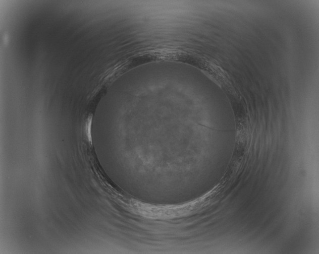 X0000076380047200610061136