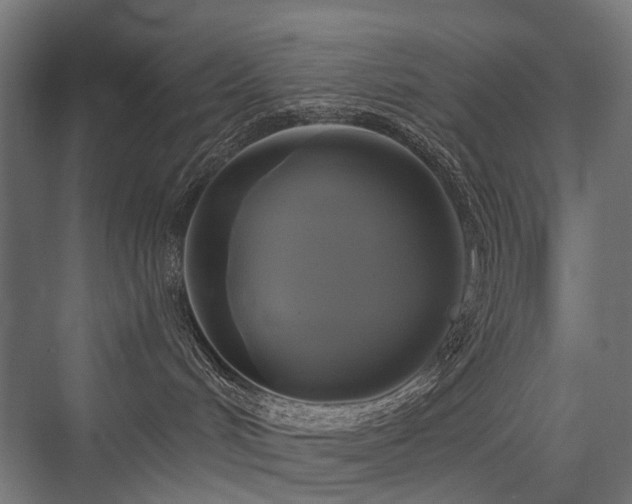 X0000076380048200610061136