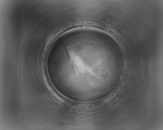 X0000076380049200610061135