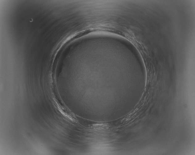 X0000076380050200610061135