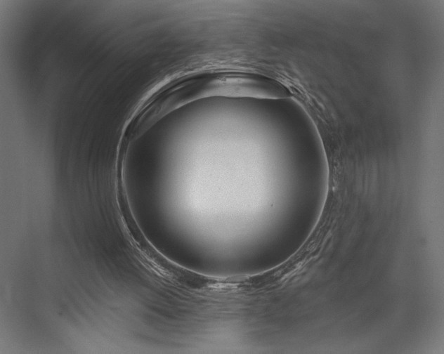 X0000076380052200610061135