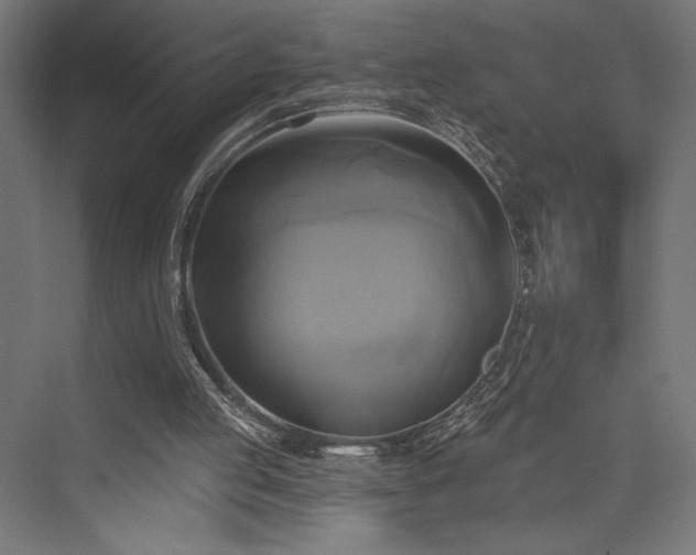 X0000076380053200610061135