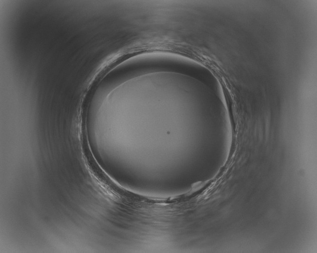 X0000076380054200610061135