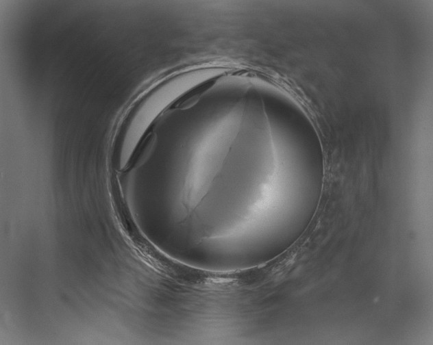 X0000076380055200610061135