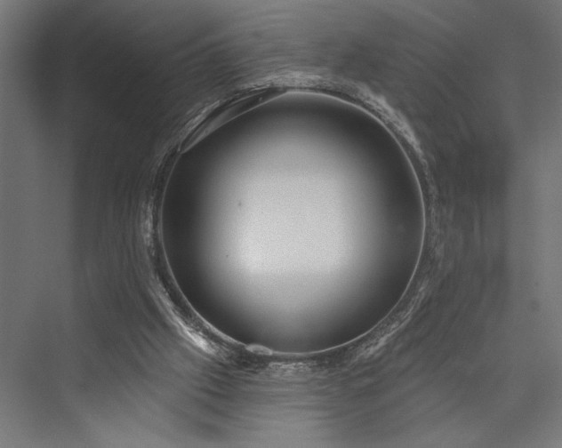 X0000076380057200610061135