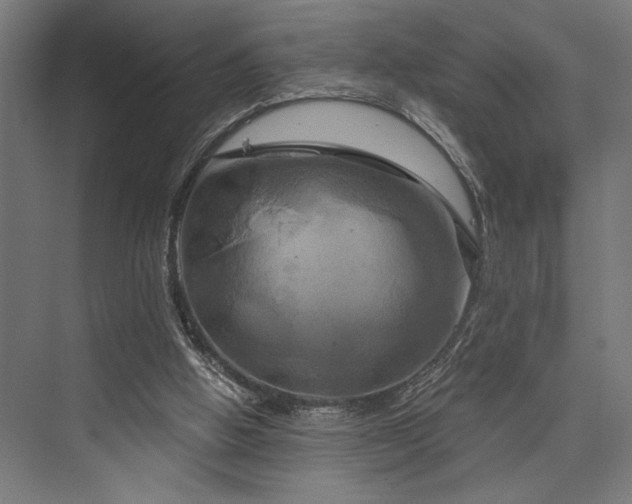 X0000076380058200610061135