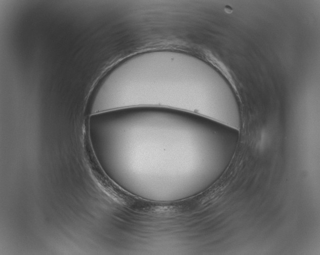 X0000076380059200610061135