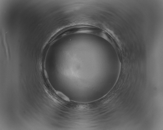 X0000076380060200610061135