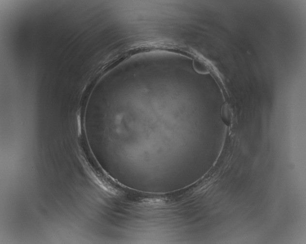 X0000076380061200610061135