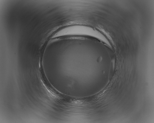 X0000076380062200610061135