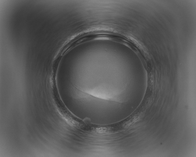 X0000076380064200610061135