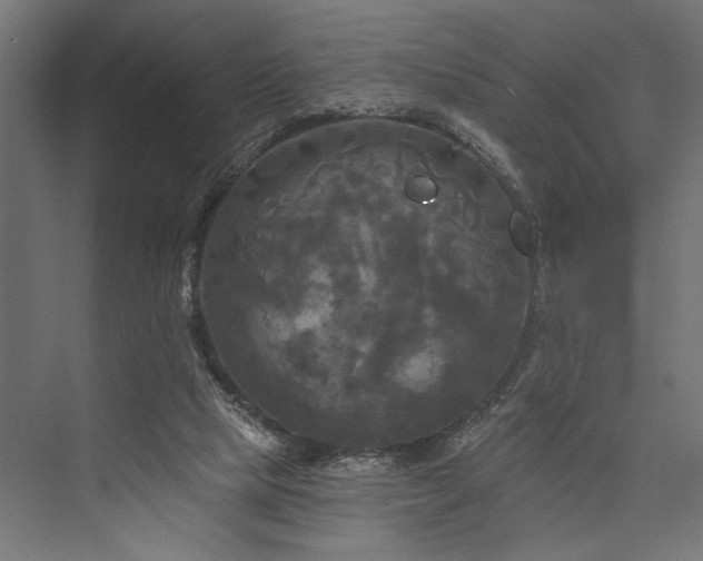 X0000076380065200610061135