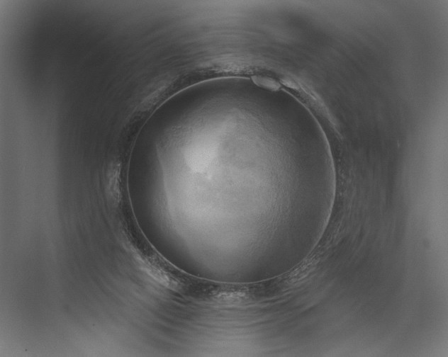 X0000076380066200610061135