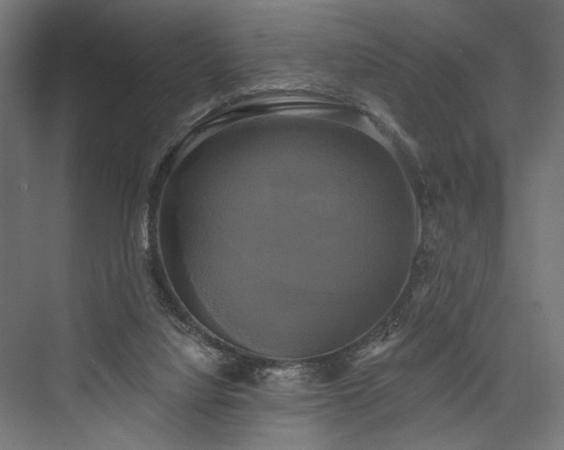 X0000076380068200610061135