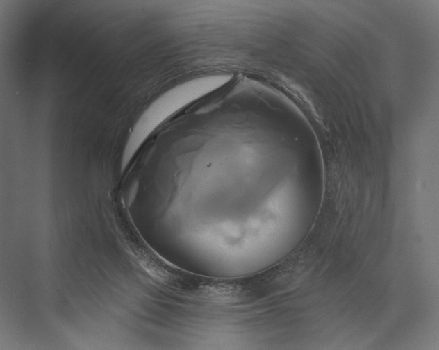 X0000076380069200610061135