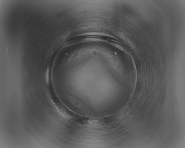 X0000076380070200610061135