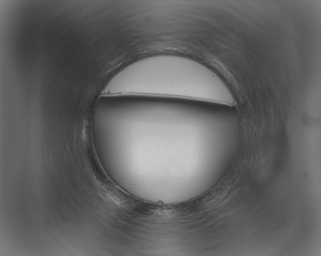 X0000076380071200610061135