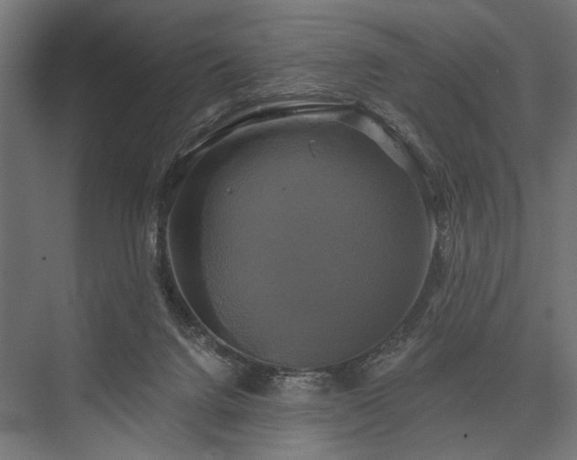 X0000076380072200610061135