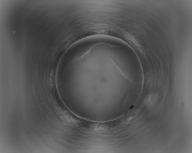 X0000076380073200610061135