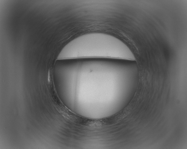 X0000076380075200610061135