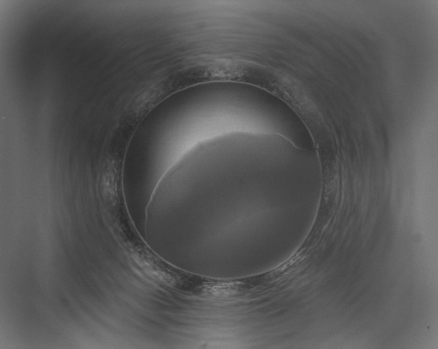 X0000076380078200610061135