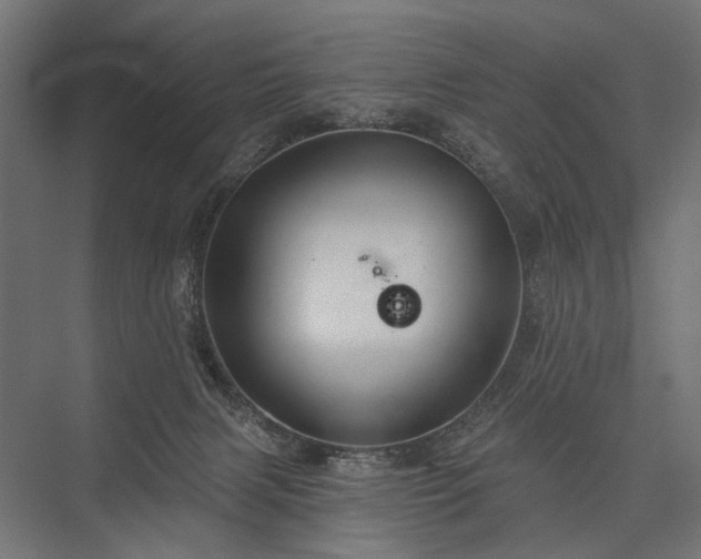 X0000076380079200610061135