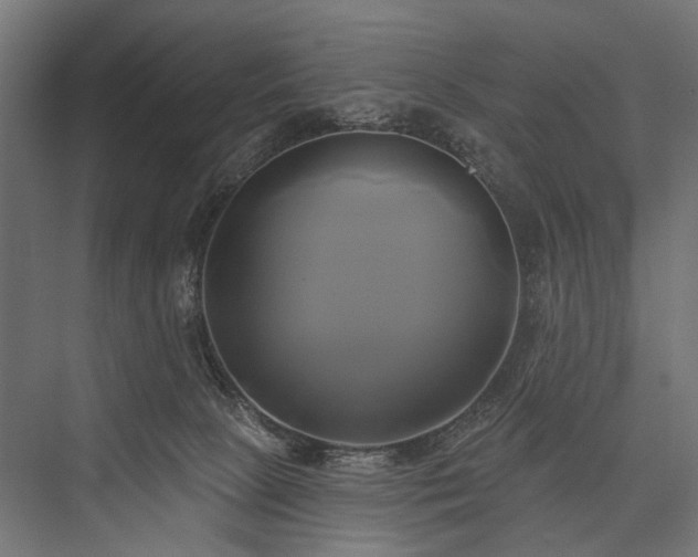 X0000076380081200610061135