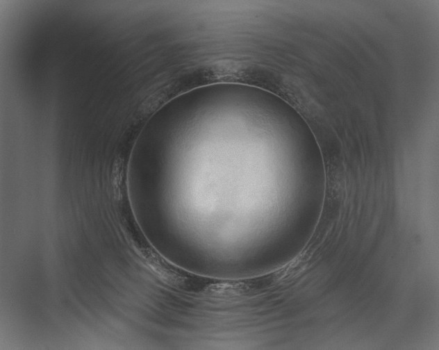 X0000076380082200610061135