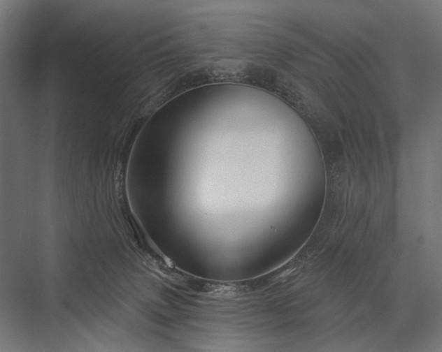 X0000076380083200610061135