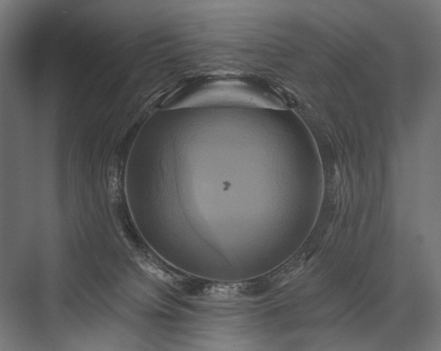 X0000076380084200610061135