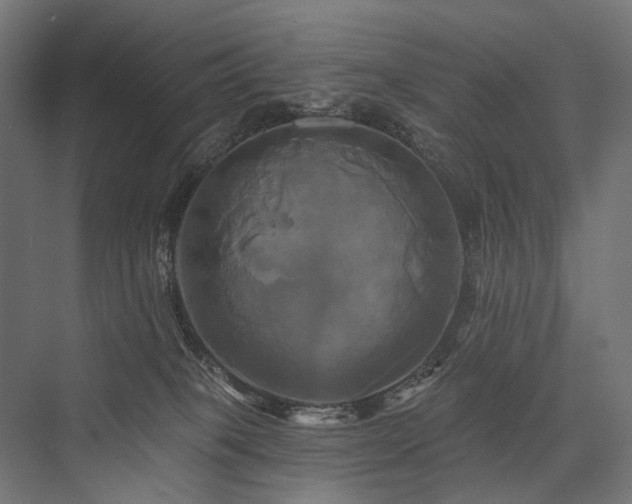 X0000076380085200610061136