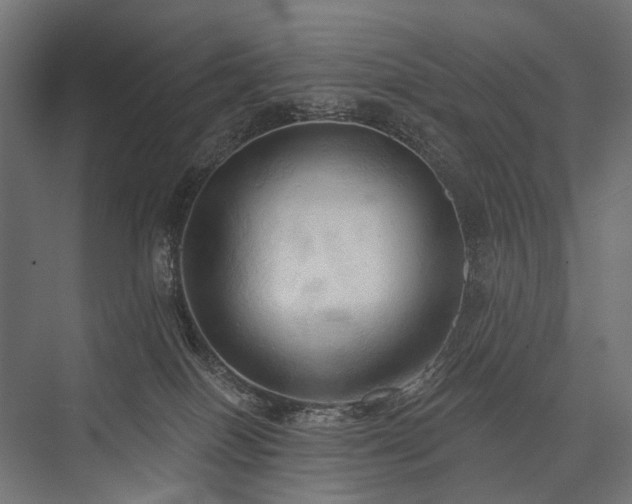 X0000076380086200610061136