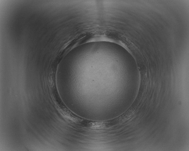 X0000076380088200610061136