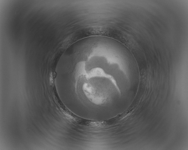 X0000076380089200610061136