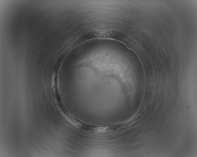 X0000076380090200610061136