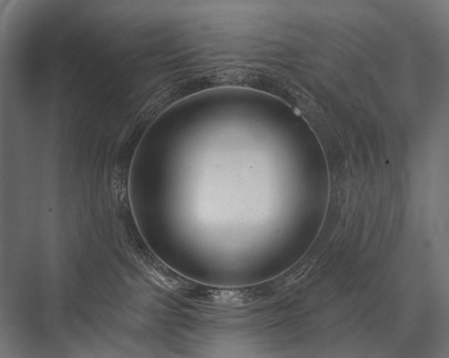 X0000076380091200610061136