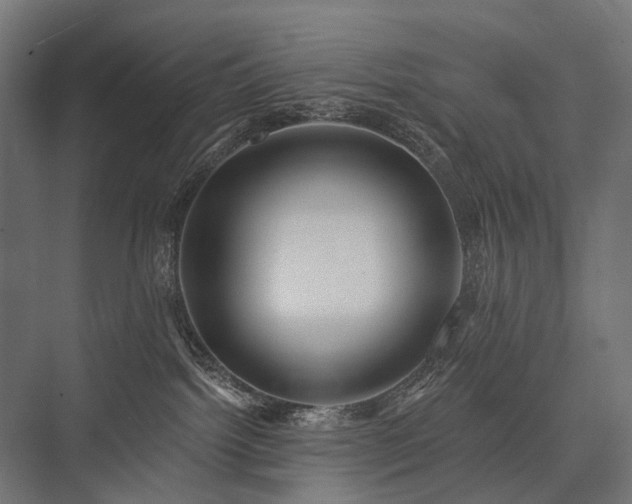 X0000076380092200610061136