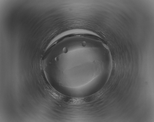 X0000076380093200610061136