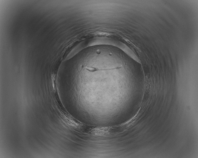 X0000076380094200610061136